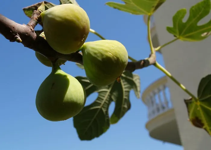 Апартаменты Jukic